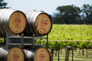 Luxury travel in South Australia - wine barrels in the Barossa Valley via myLusciousLife.jpg